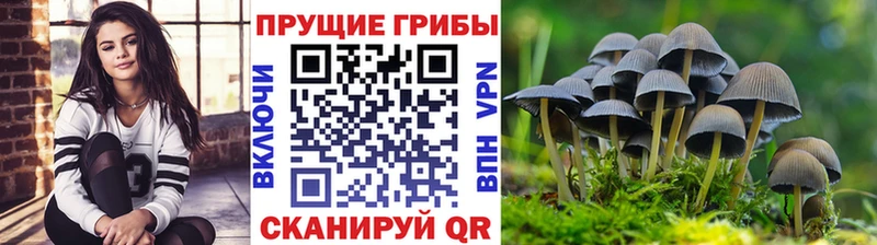 Псилоцибиновые грибы MAGIC MUSHROOMS  Чердынь 